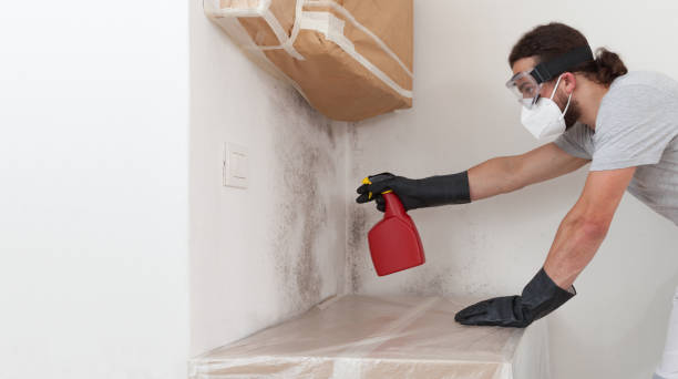 Professional Commercial Mold Remediation technician working in Westville, IL