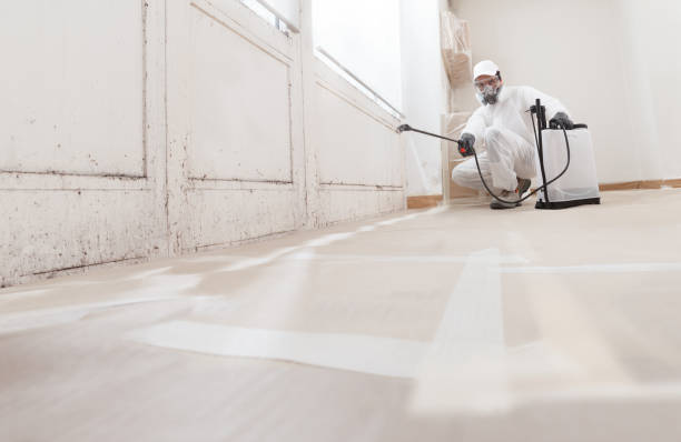 24/7 Emergency Commercial Mold Remediation experts in Westville, IL