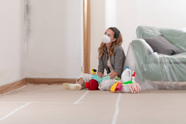 Reliable Commercial Mold Remediation contractor in Westville, IL by 24 Hour Mold Removal